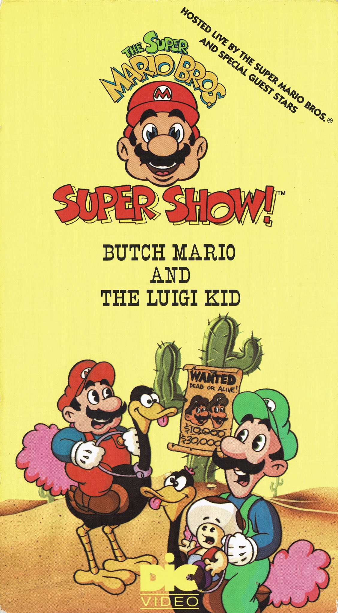 Cover 40