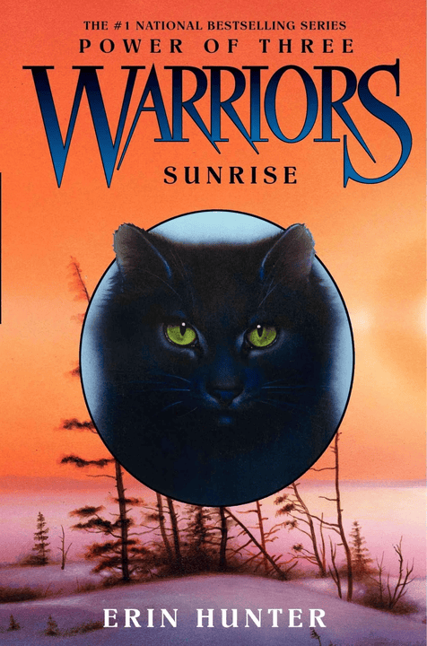 Cover 6