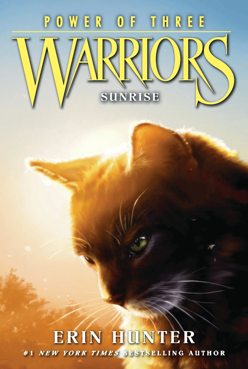 Cover 12
