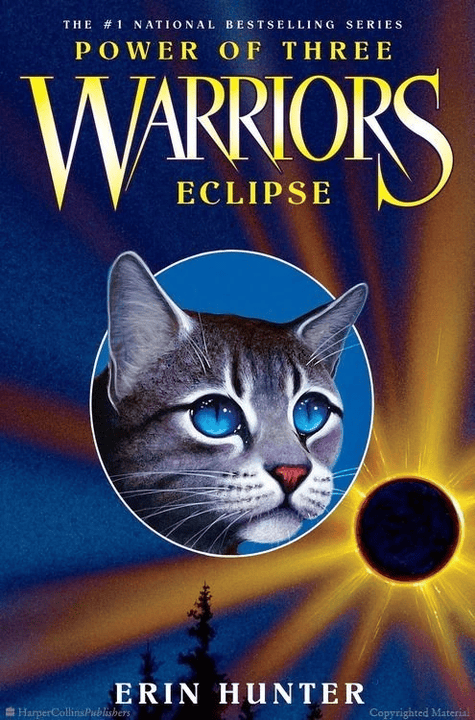 Cover 4