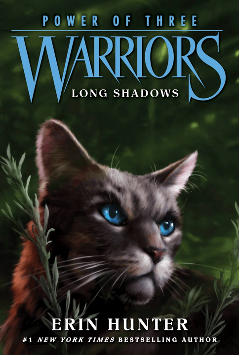 Cover 11