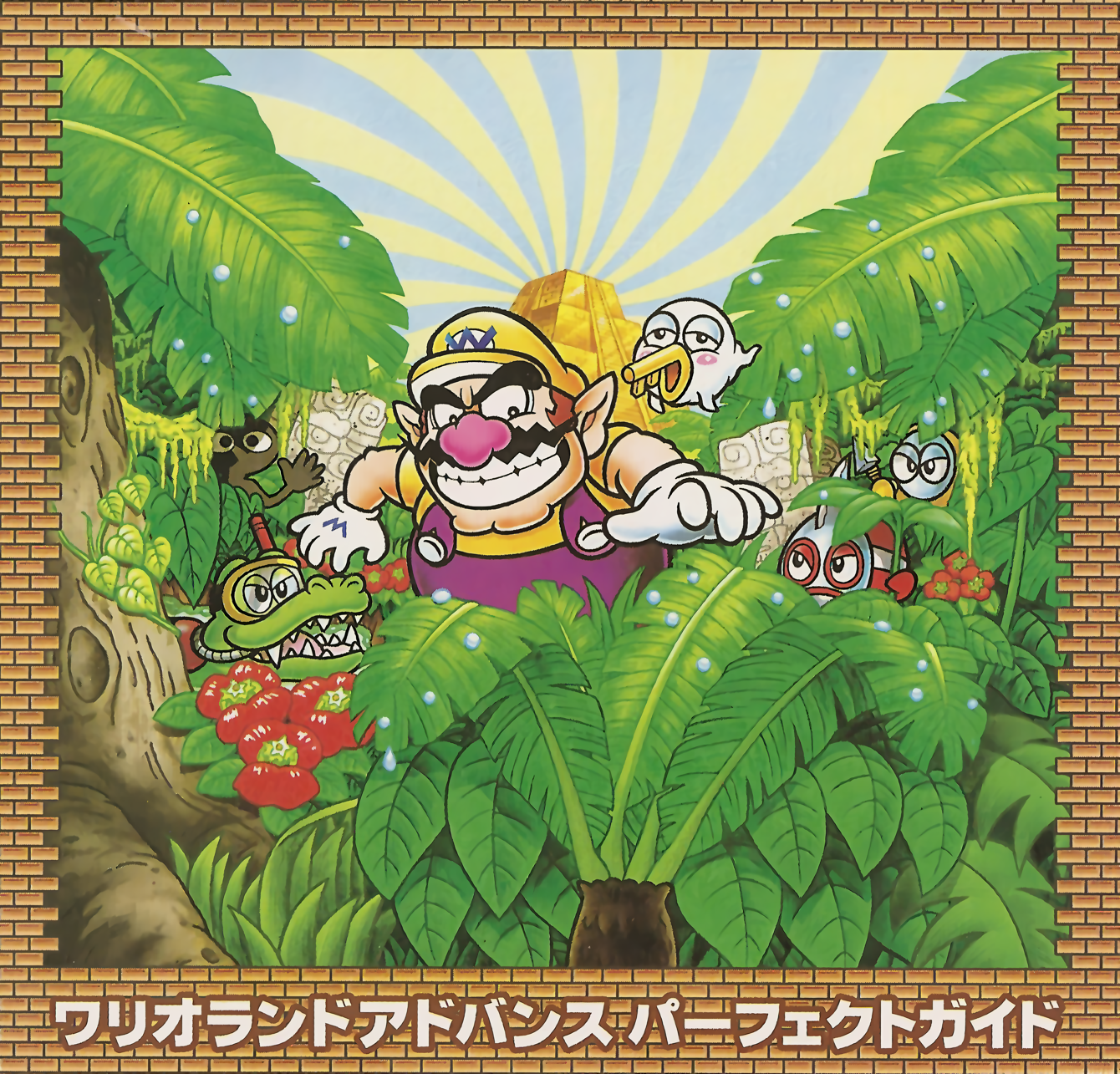 Cover 15