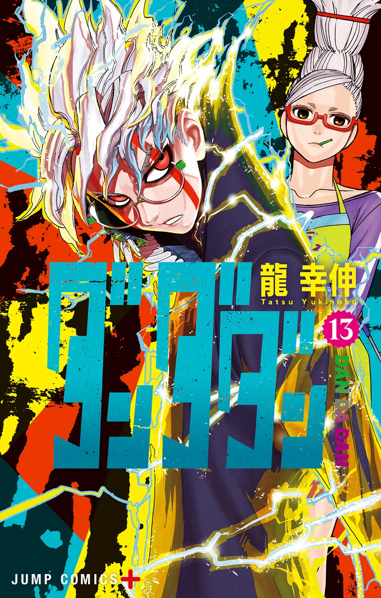 Cover 13