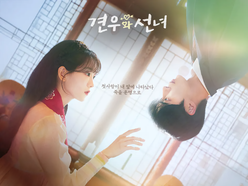 Cover 12