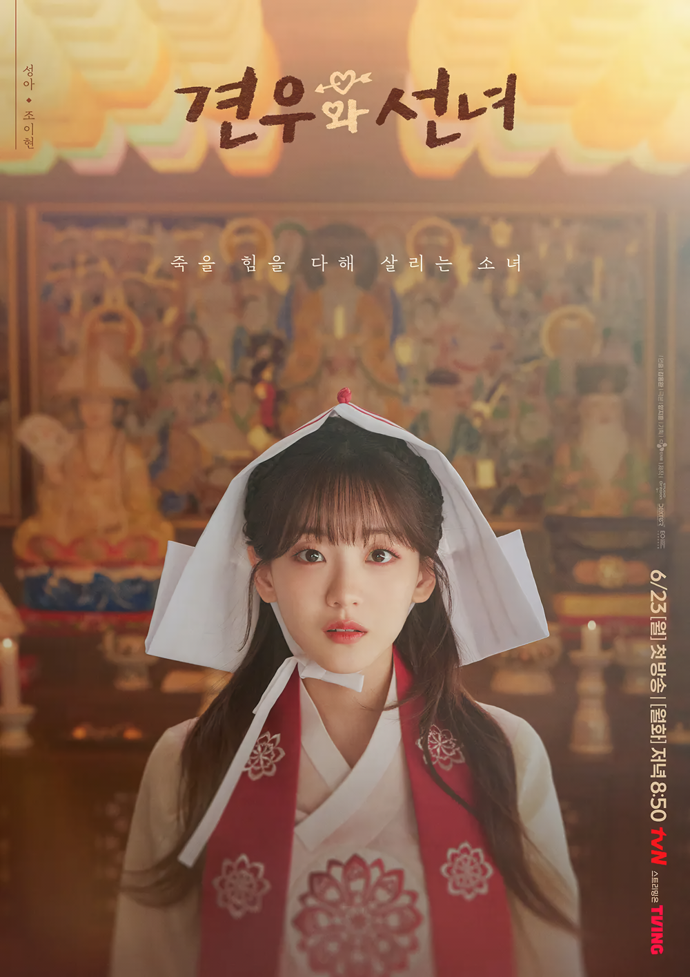 Cover 13