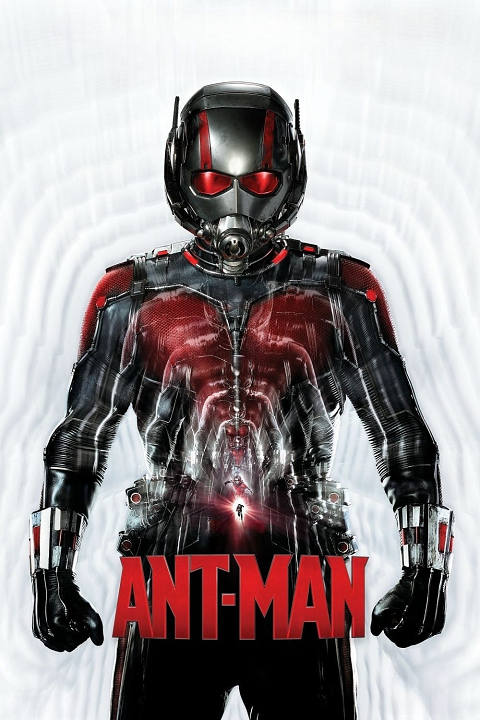 Cover 4