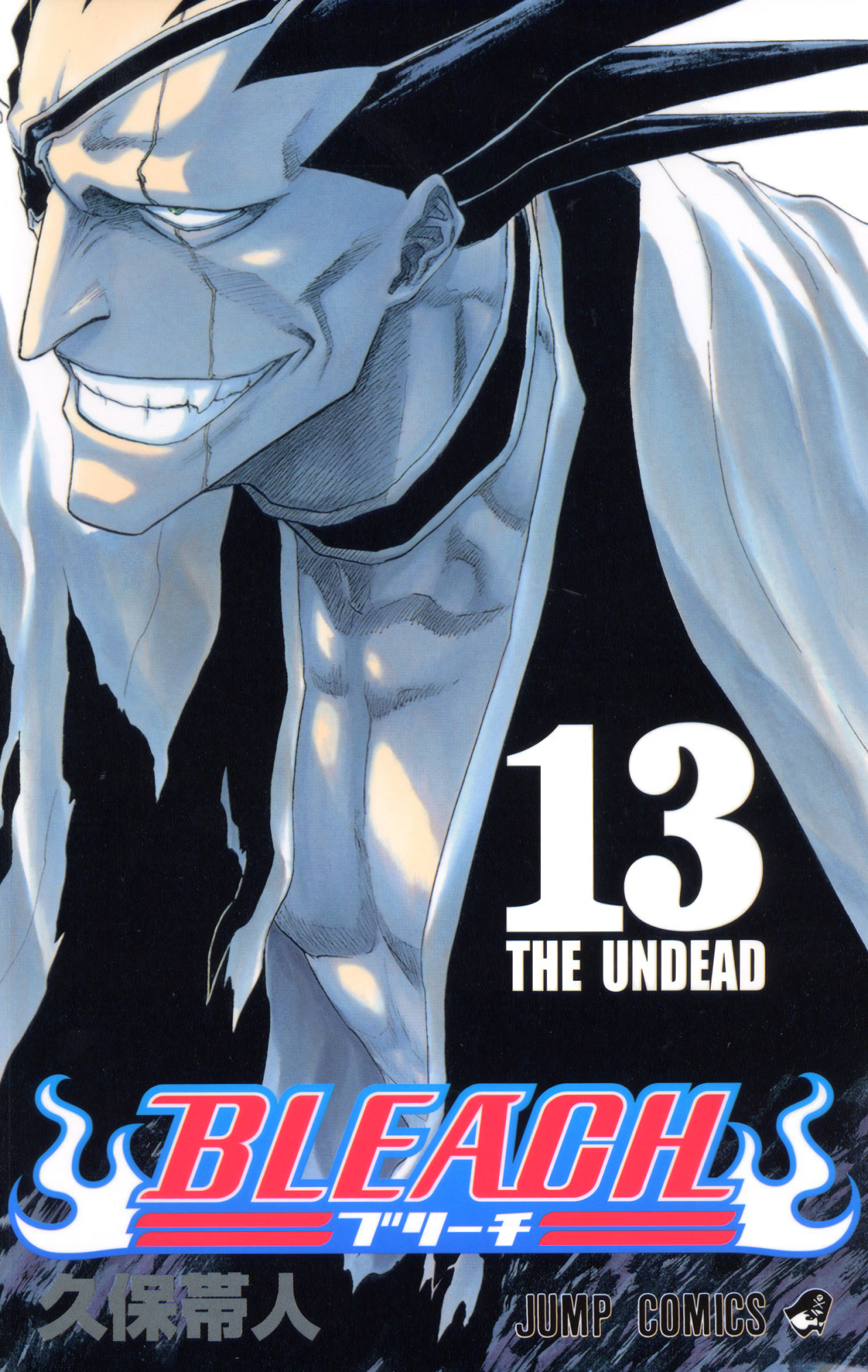 Cover 13