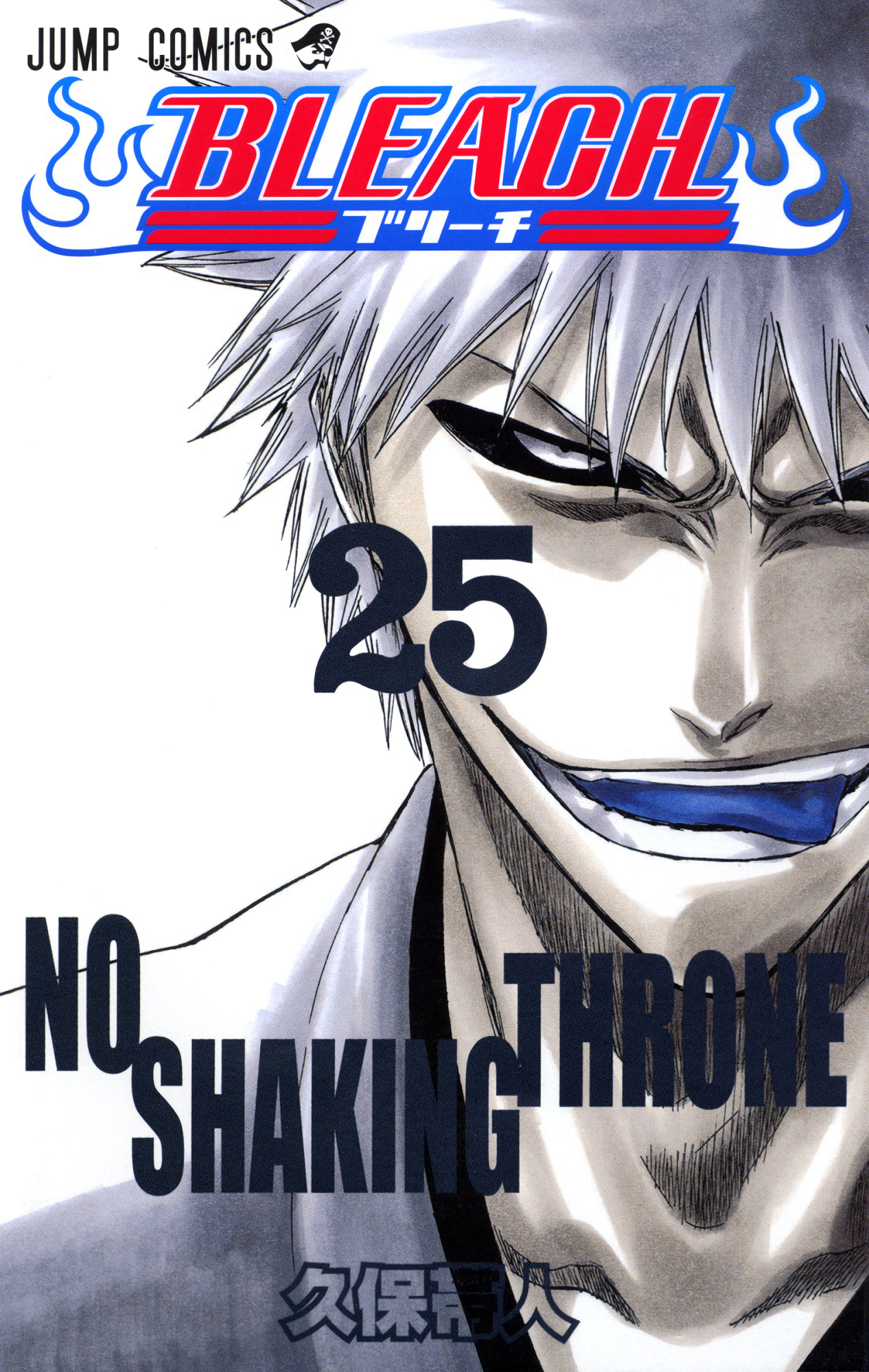 Cover 25
