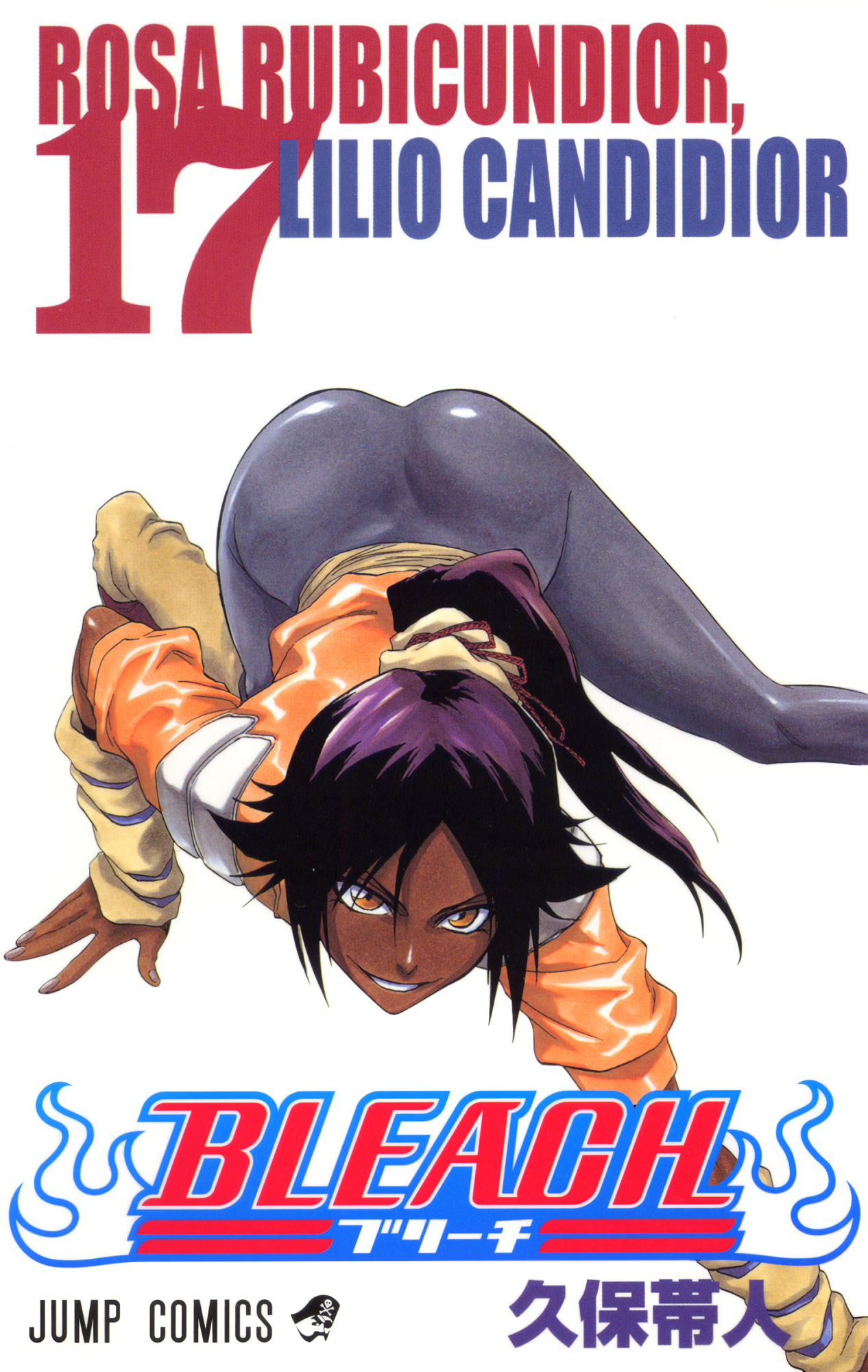 Cover 17