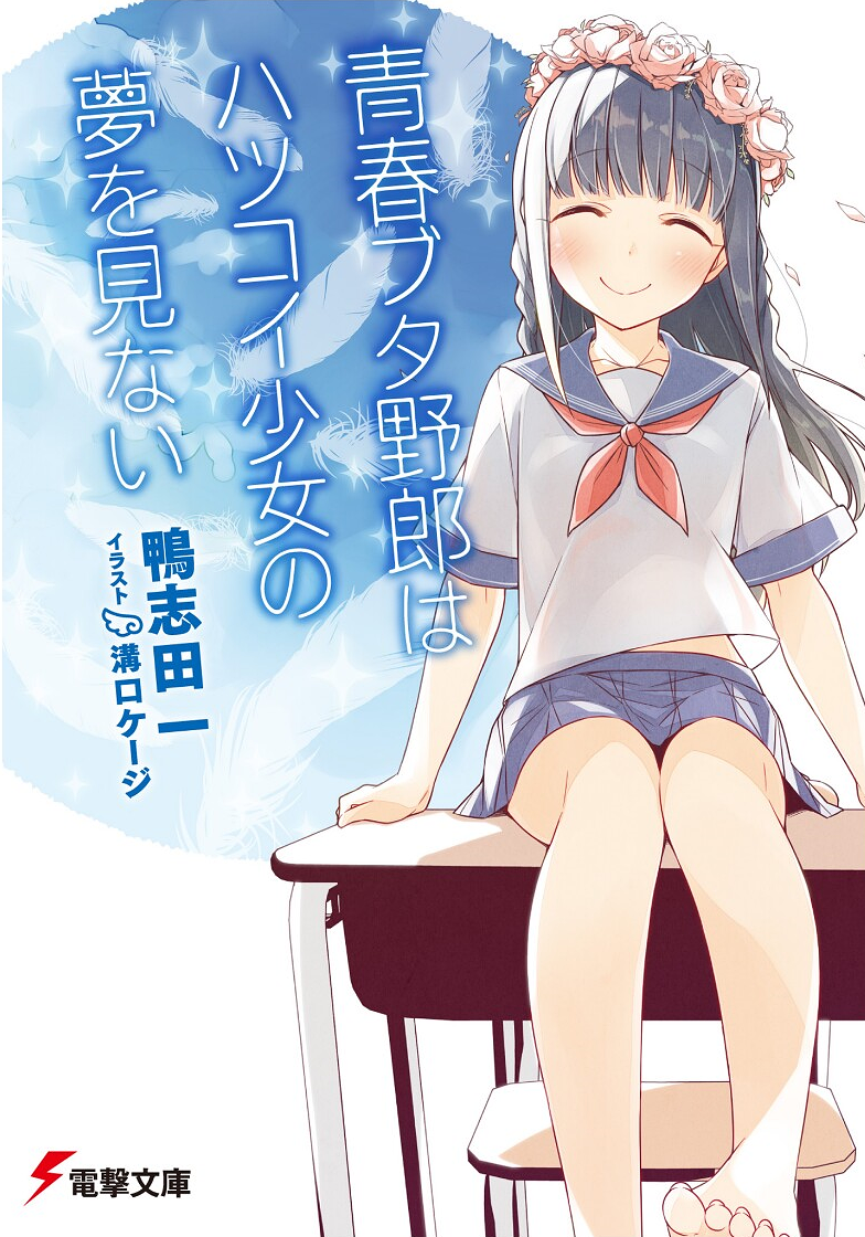 Cover 17
