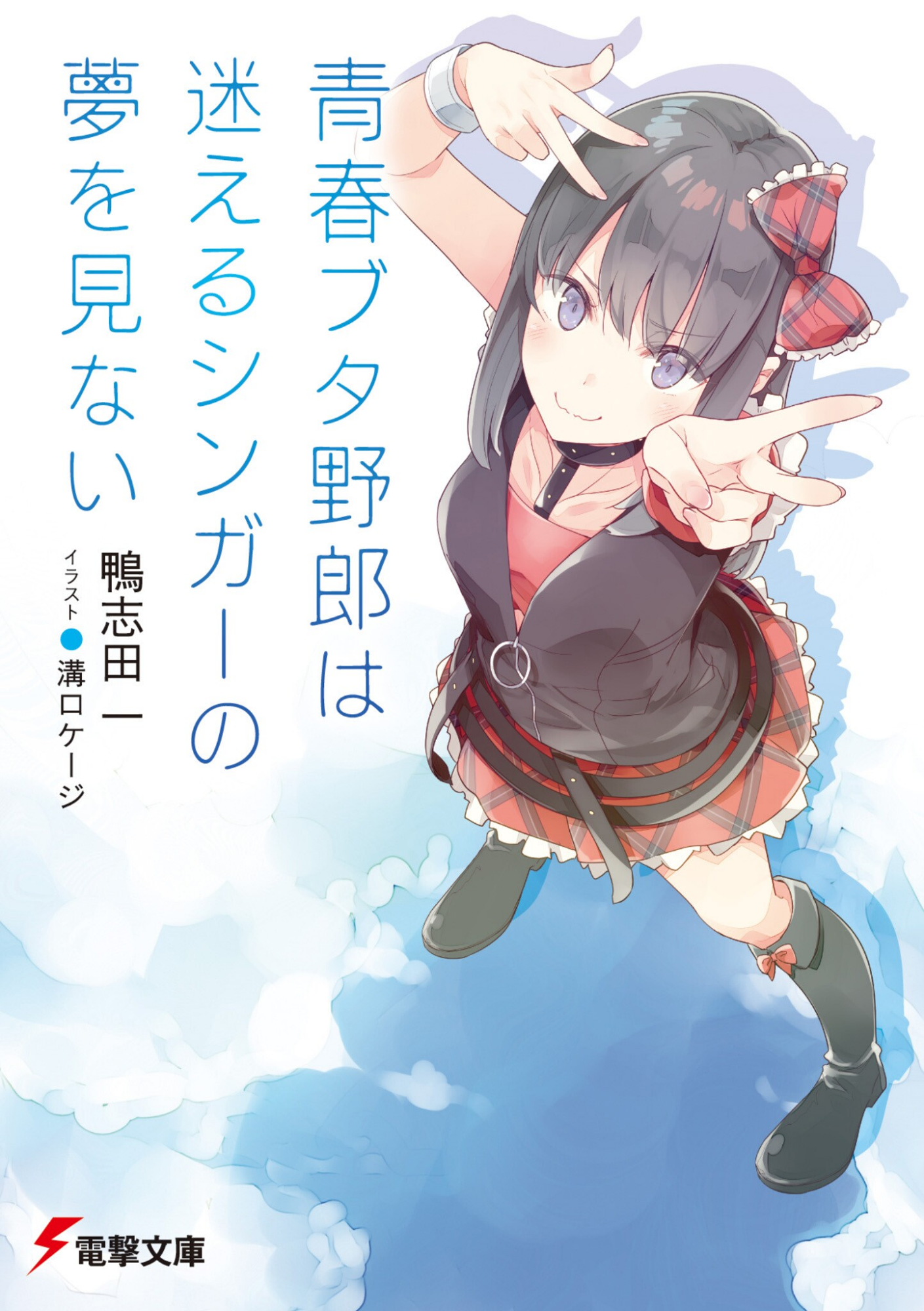 Cover 20