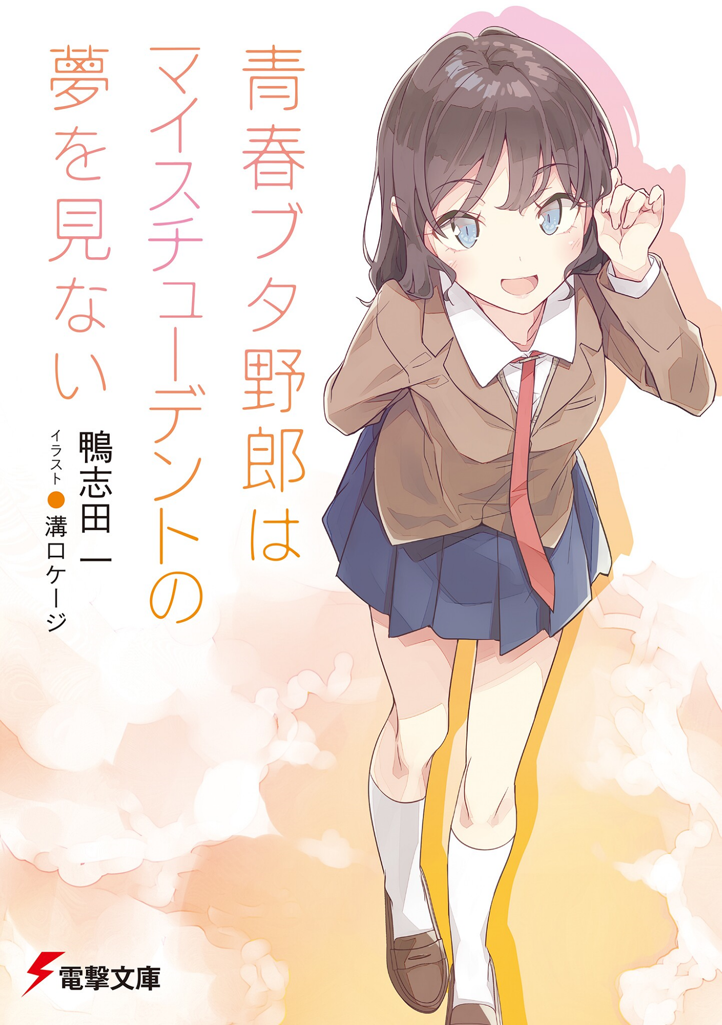 Cover 22