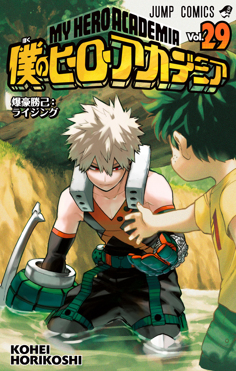 Cover 29