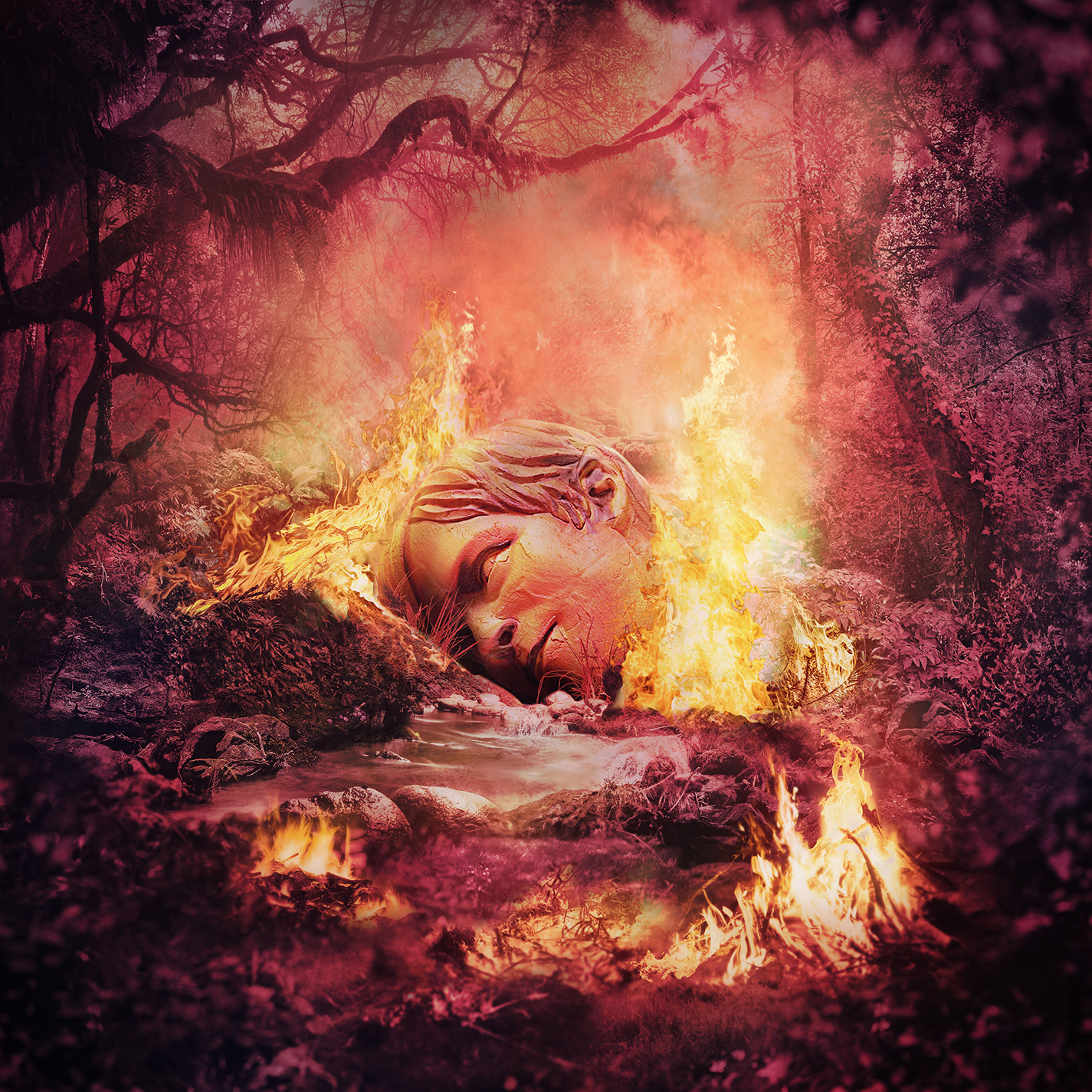 Cover 18