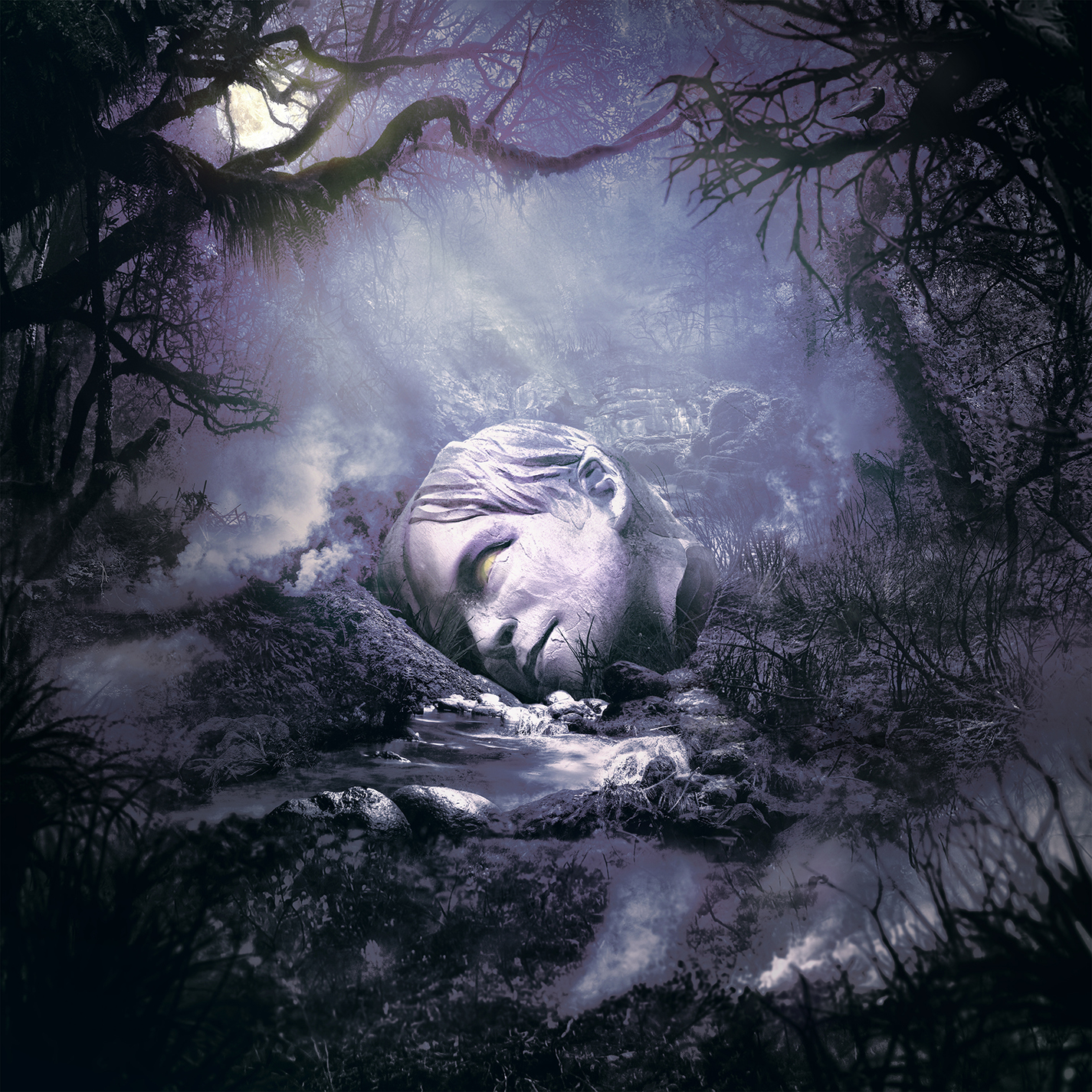 Cover 19