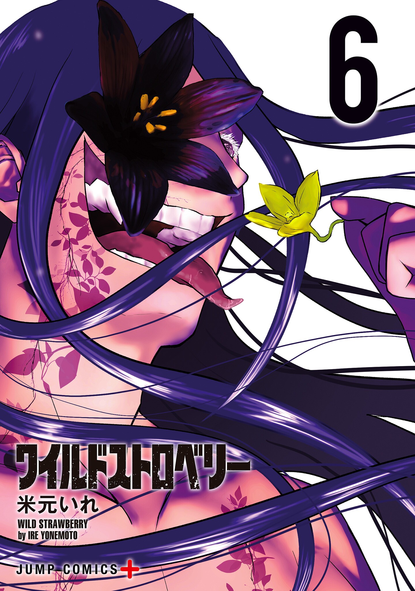 Cover 6