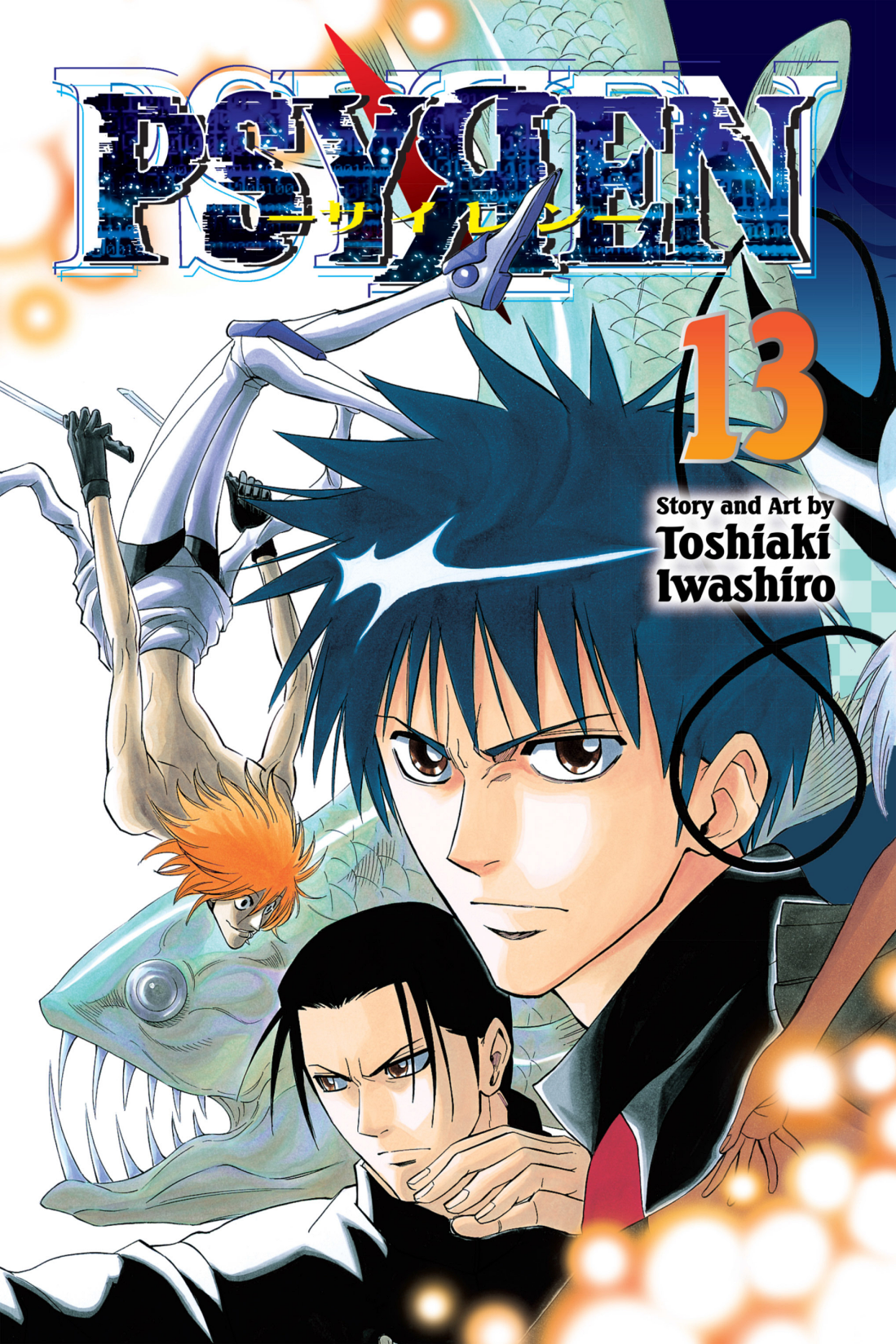 Cover 13