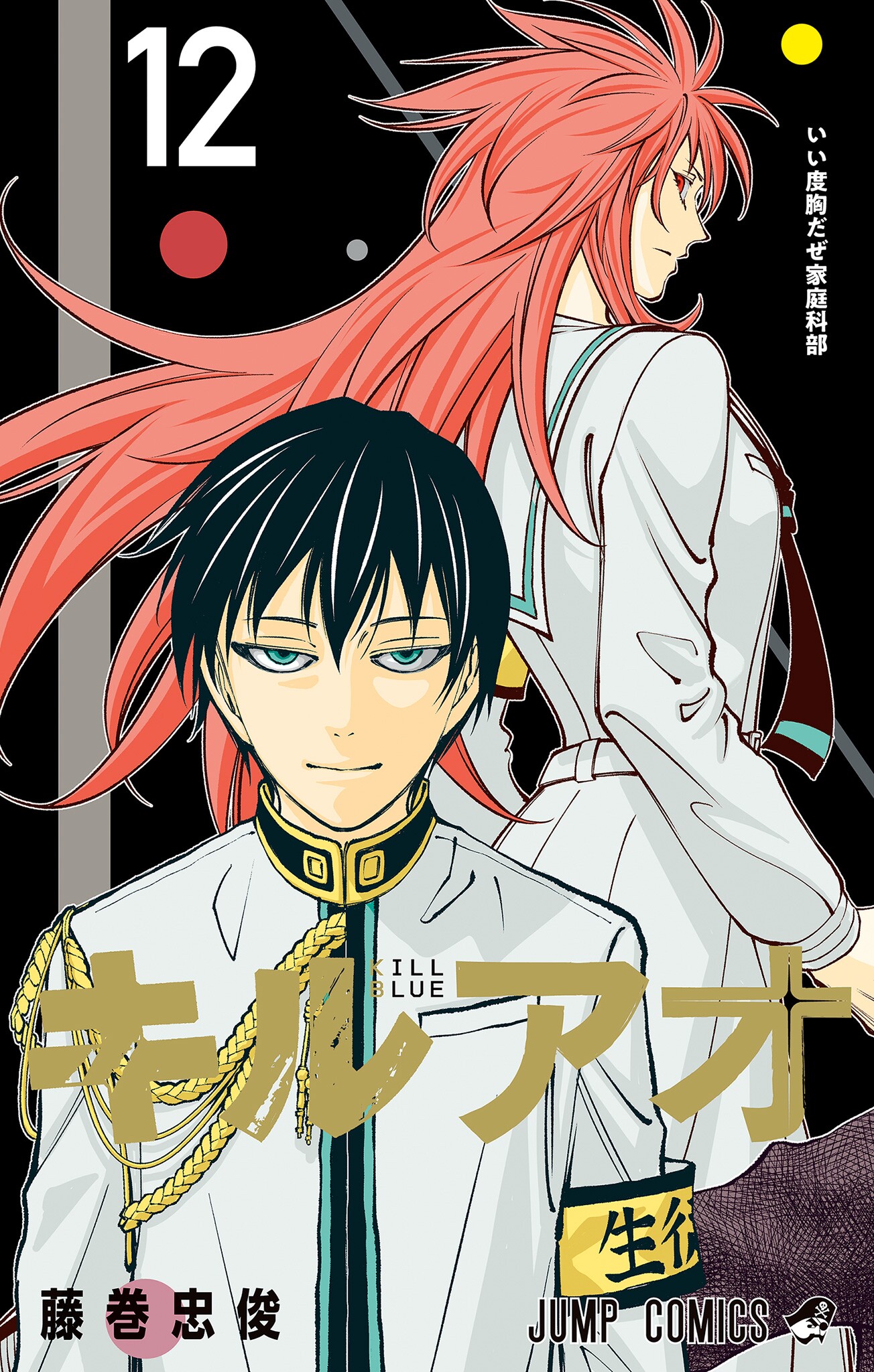 Cover 12