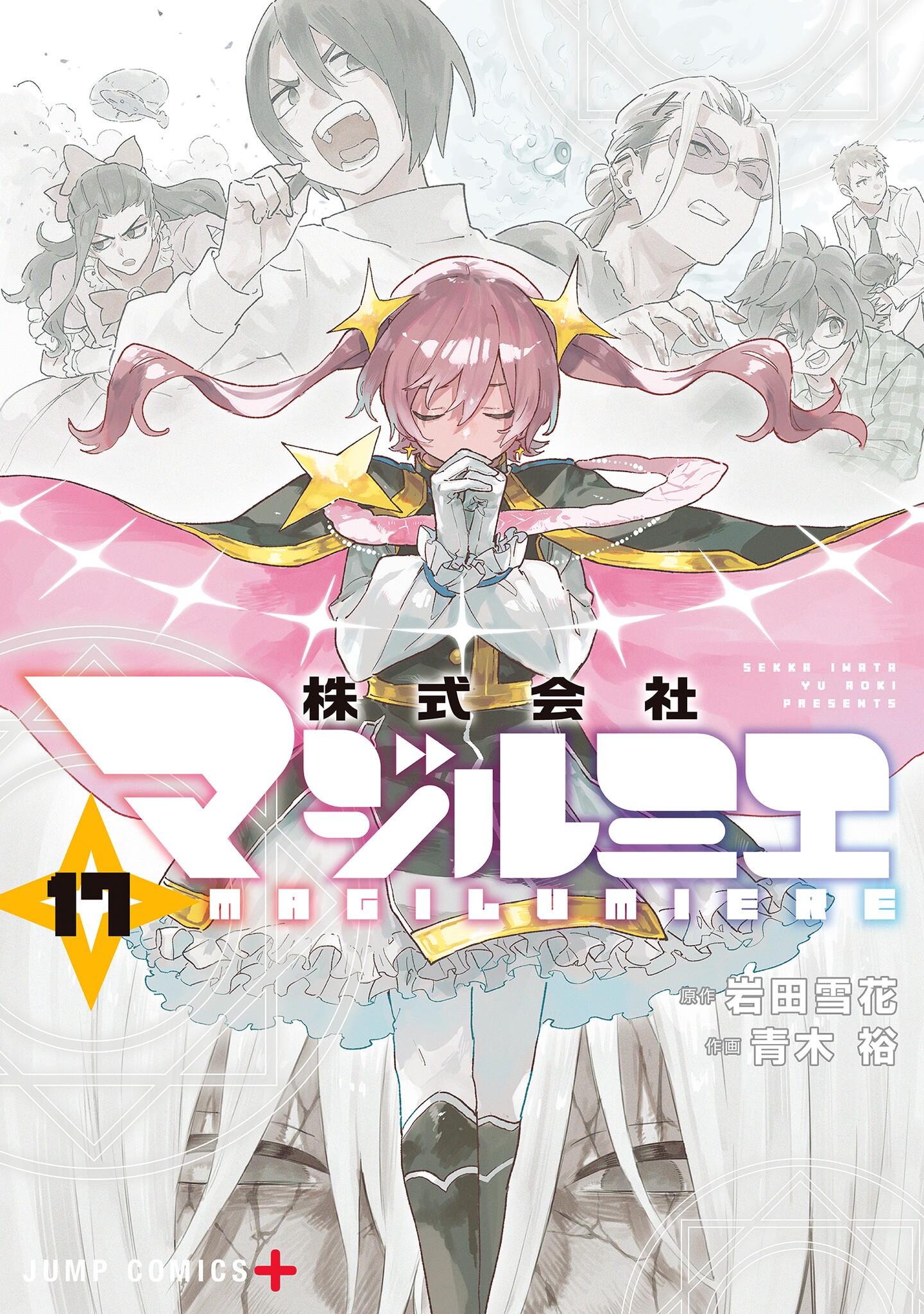 Cover 17