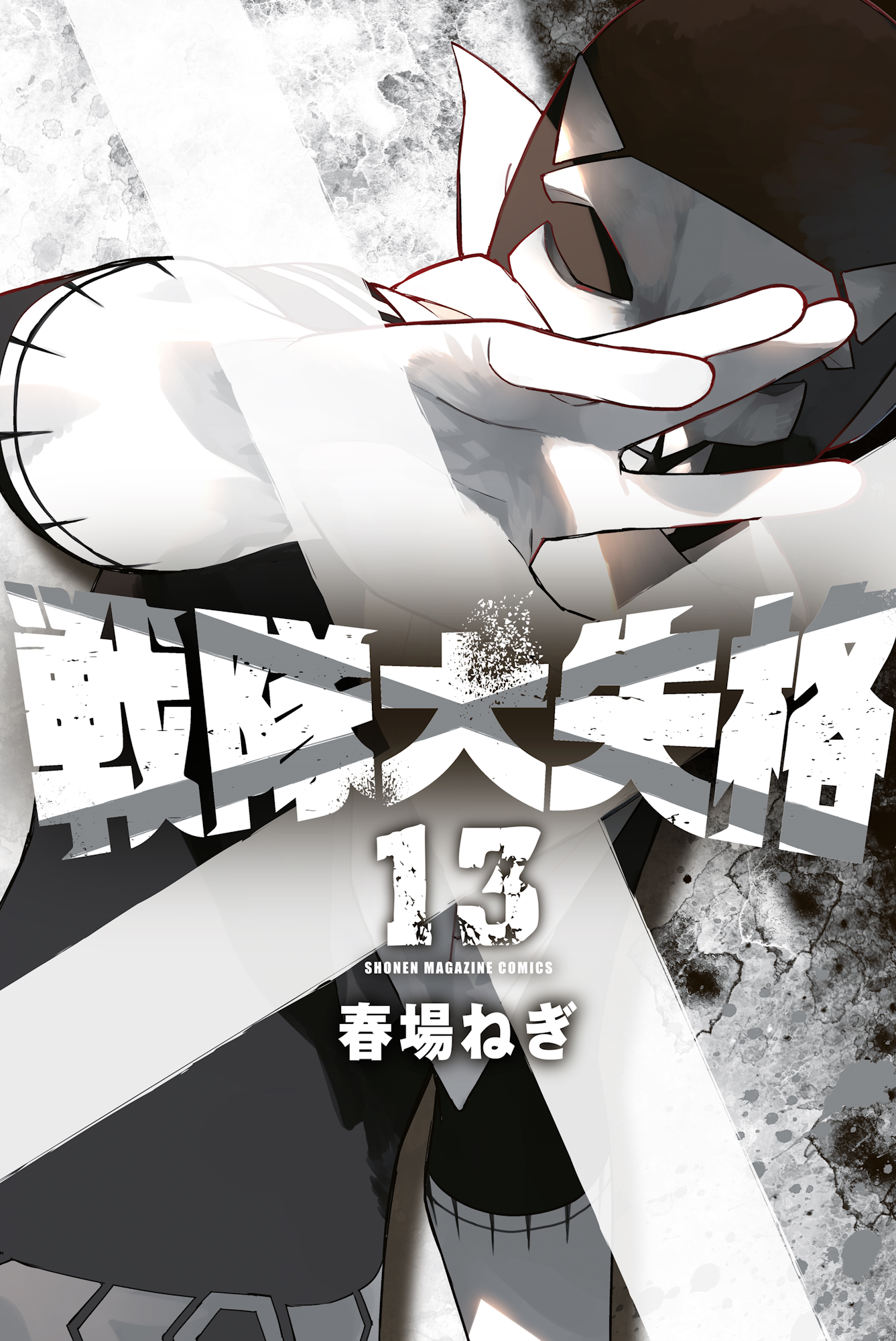 Cover 13