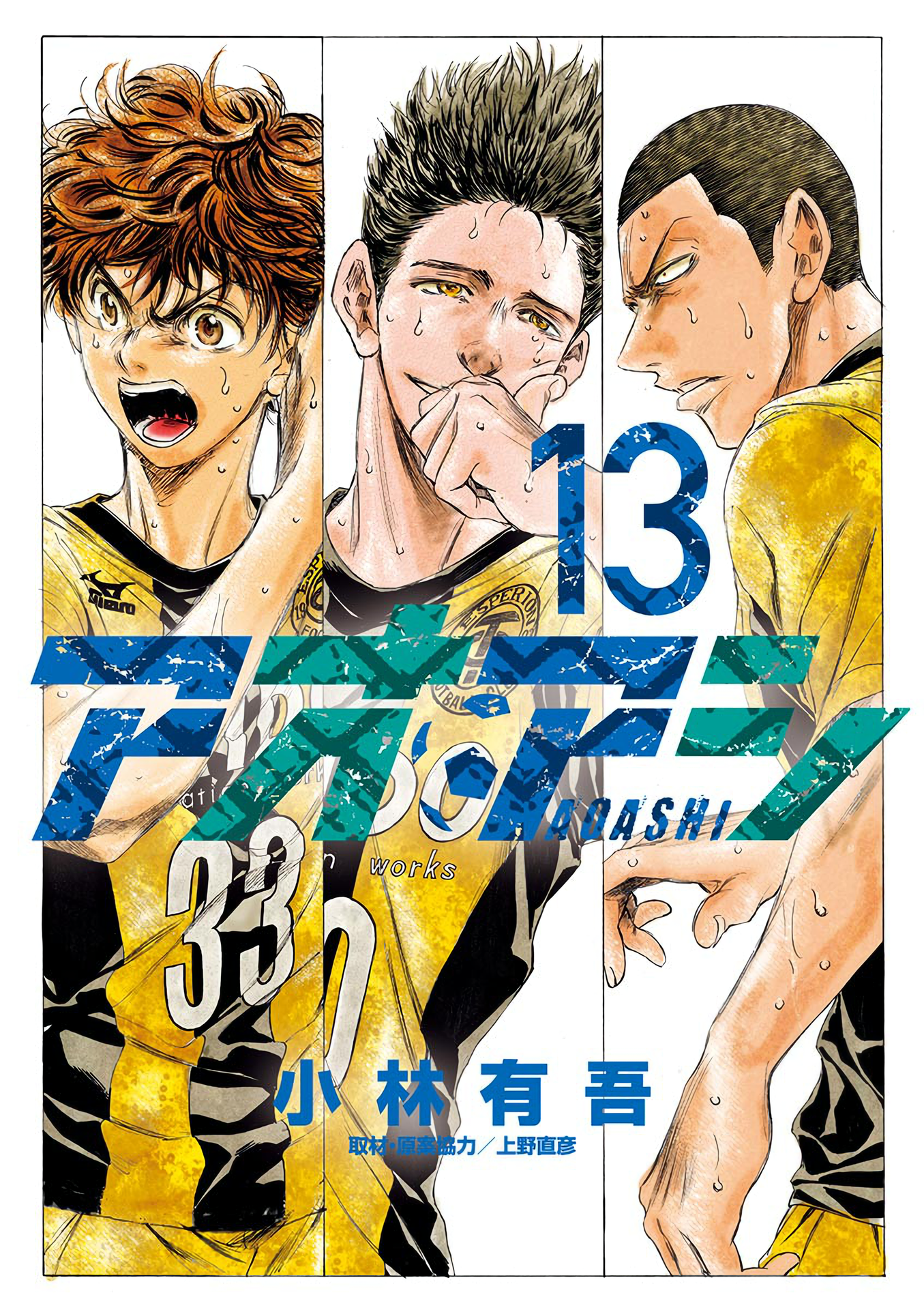 Cover 13
