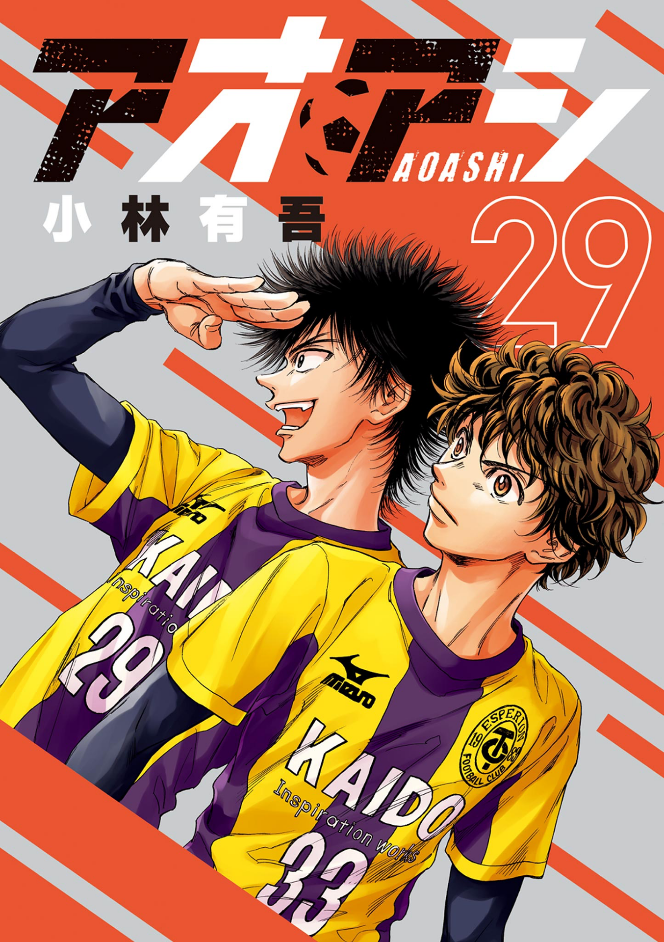 Cover 29