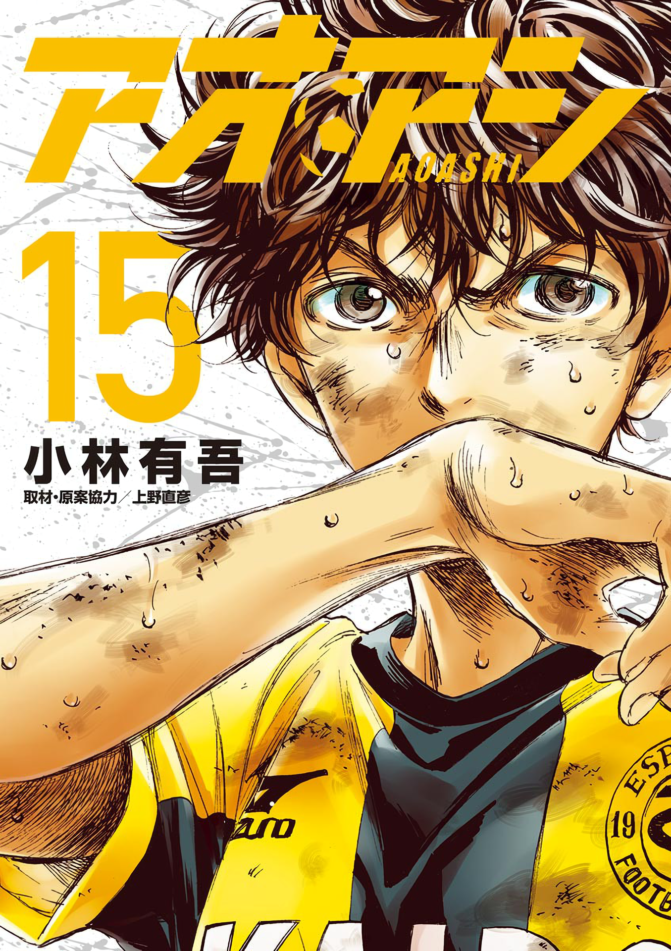 Cover 15