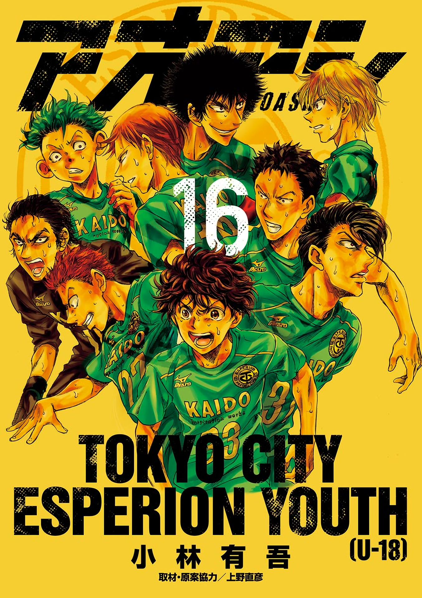 Cover 16