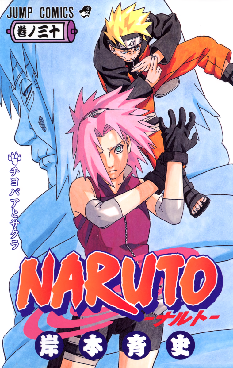 Cover 30