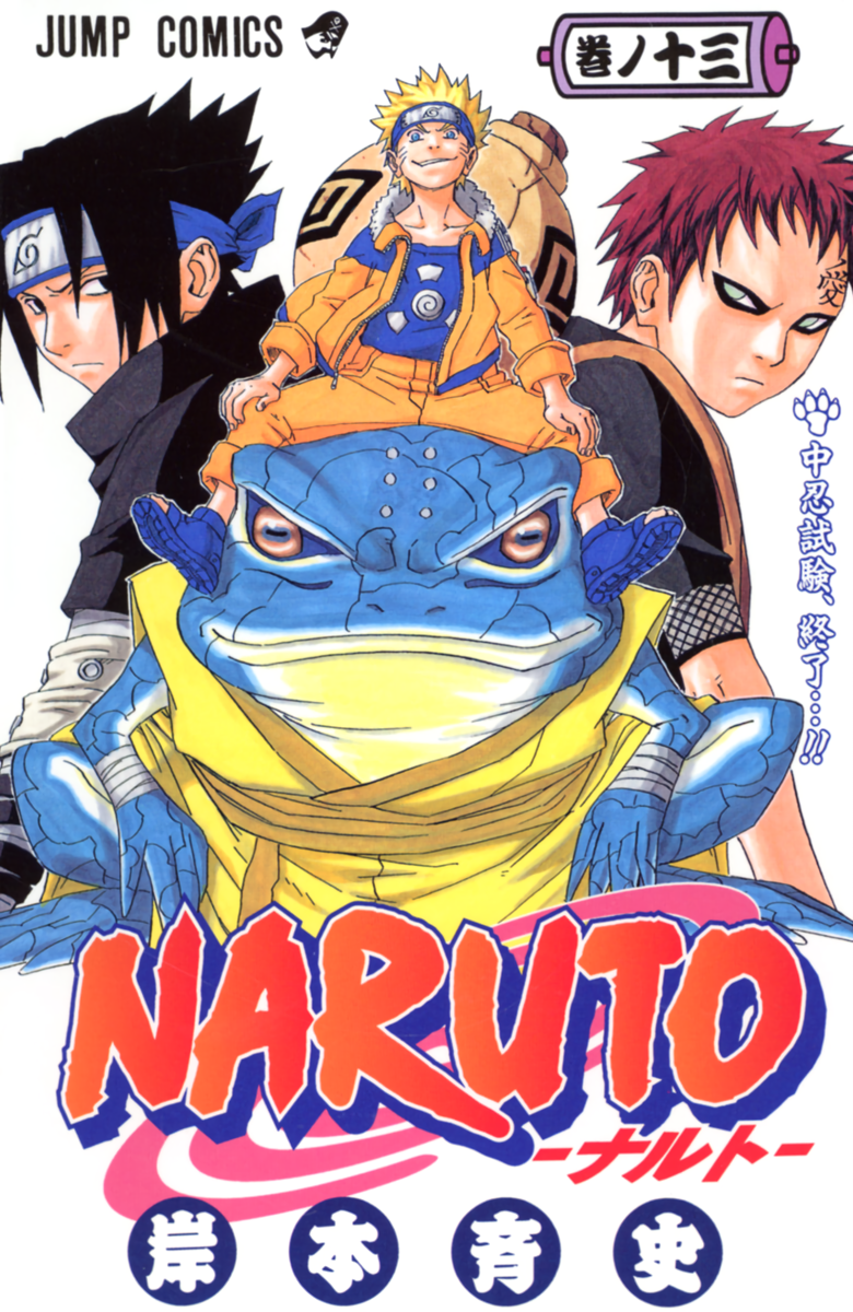 Cover 13