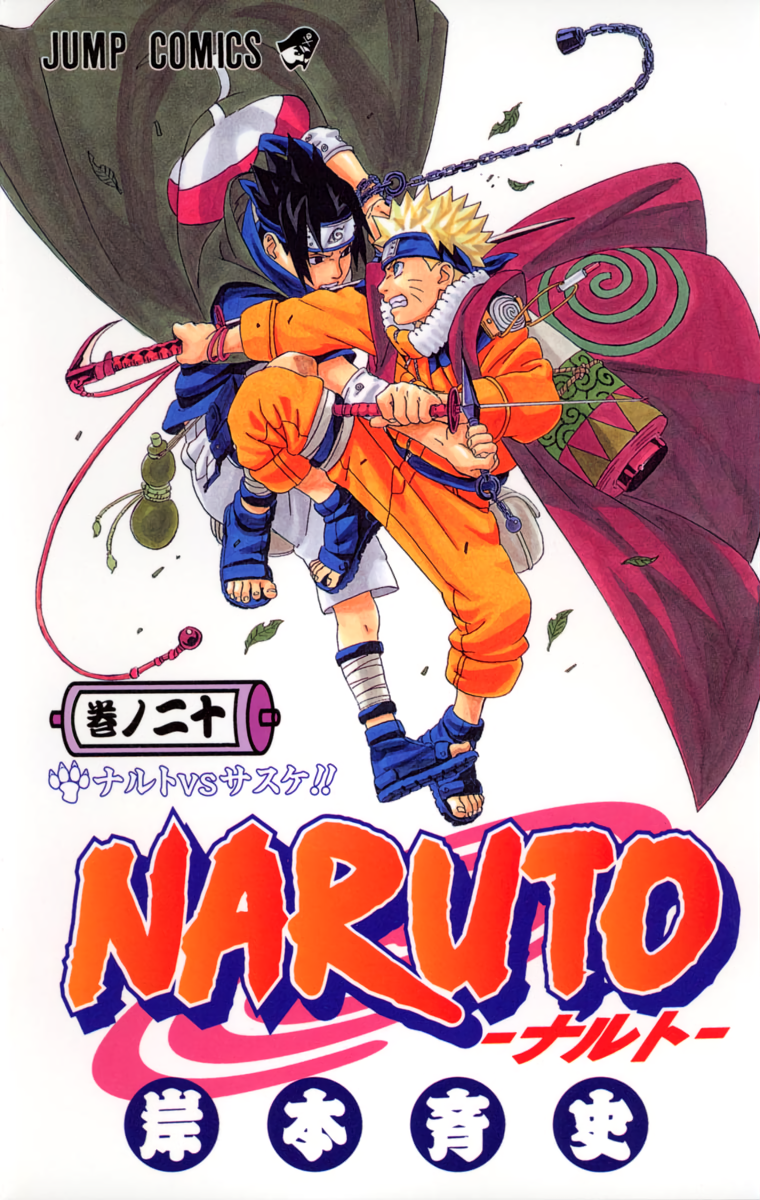 Cover 20