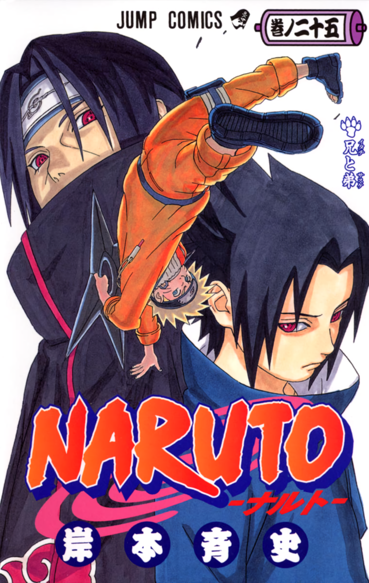 Cover 25