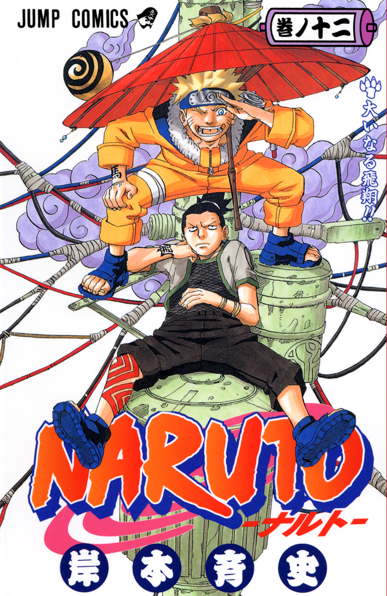 Cover 12
