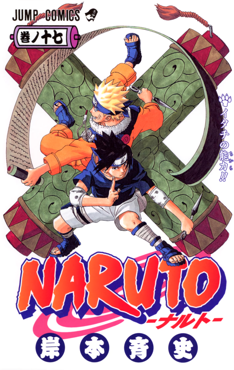 Cover 17