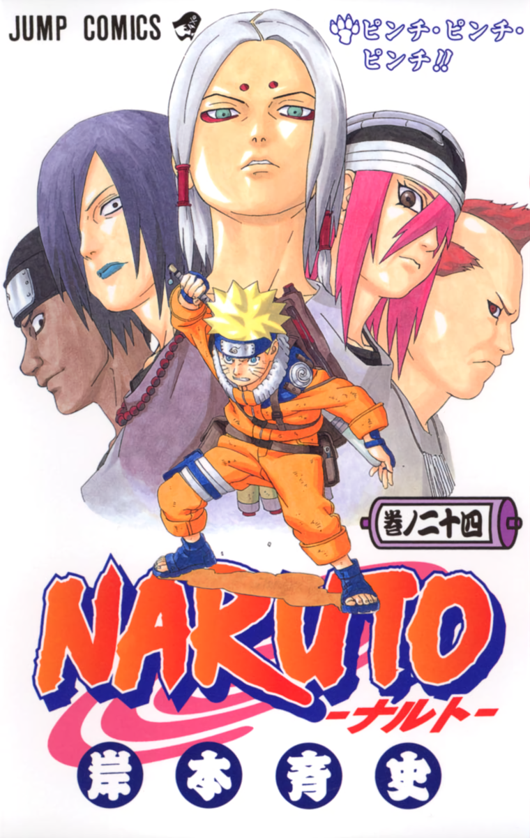 Cover 24