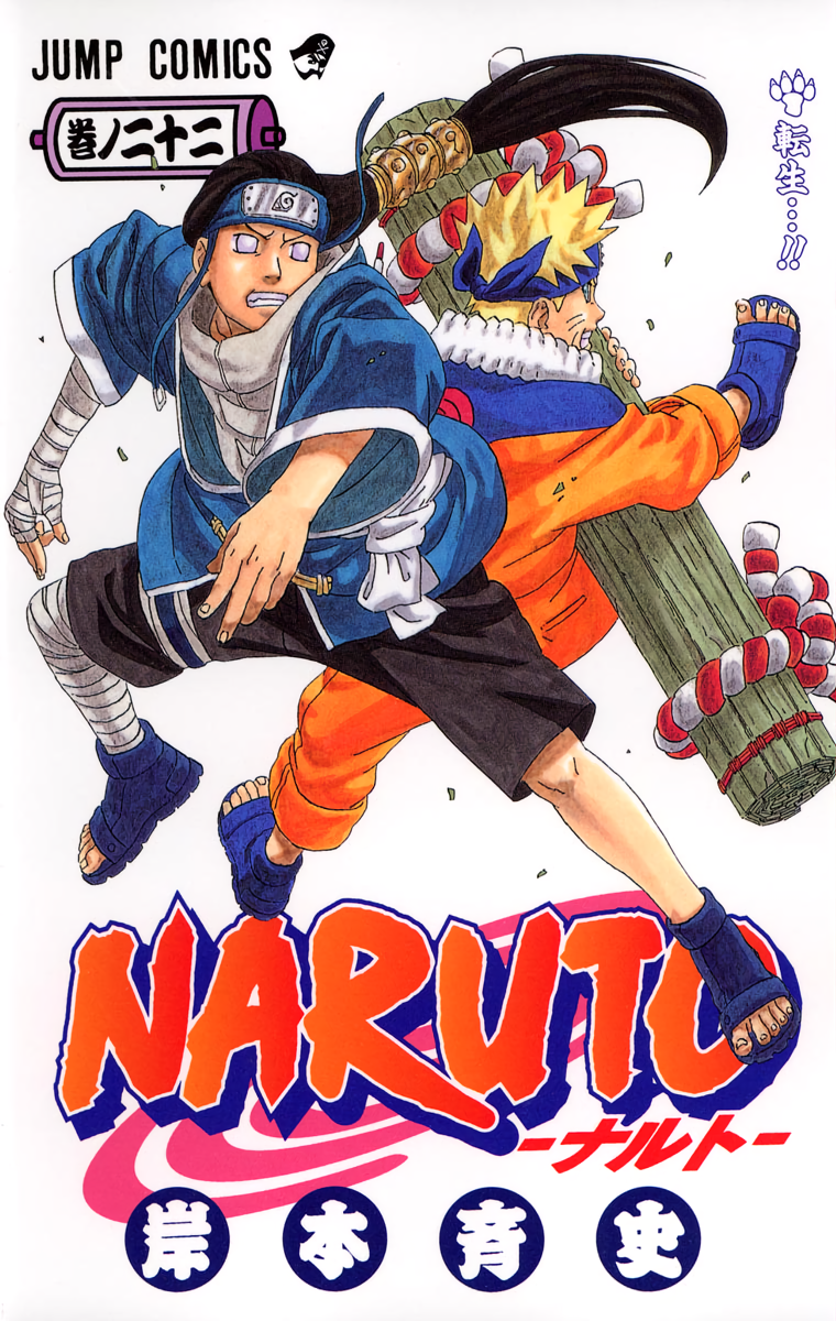 Cover 22