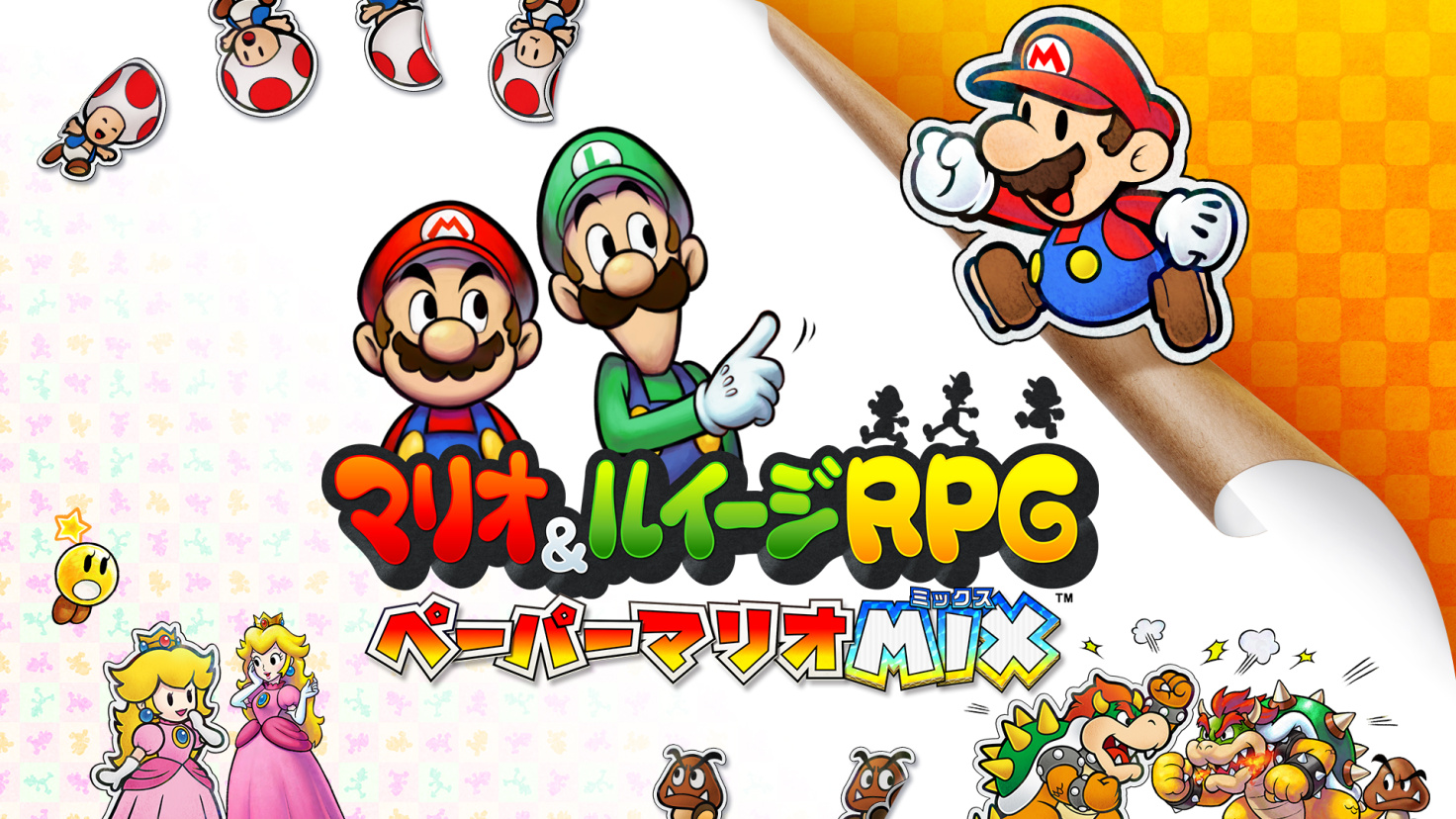 Cover 13