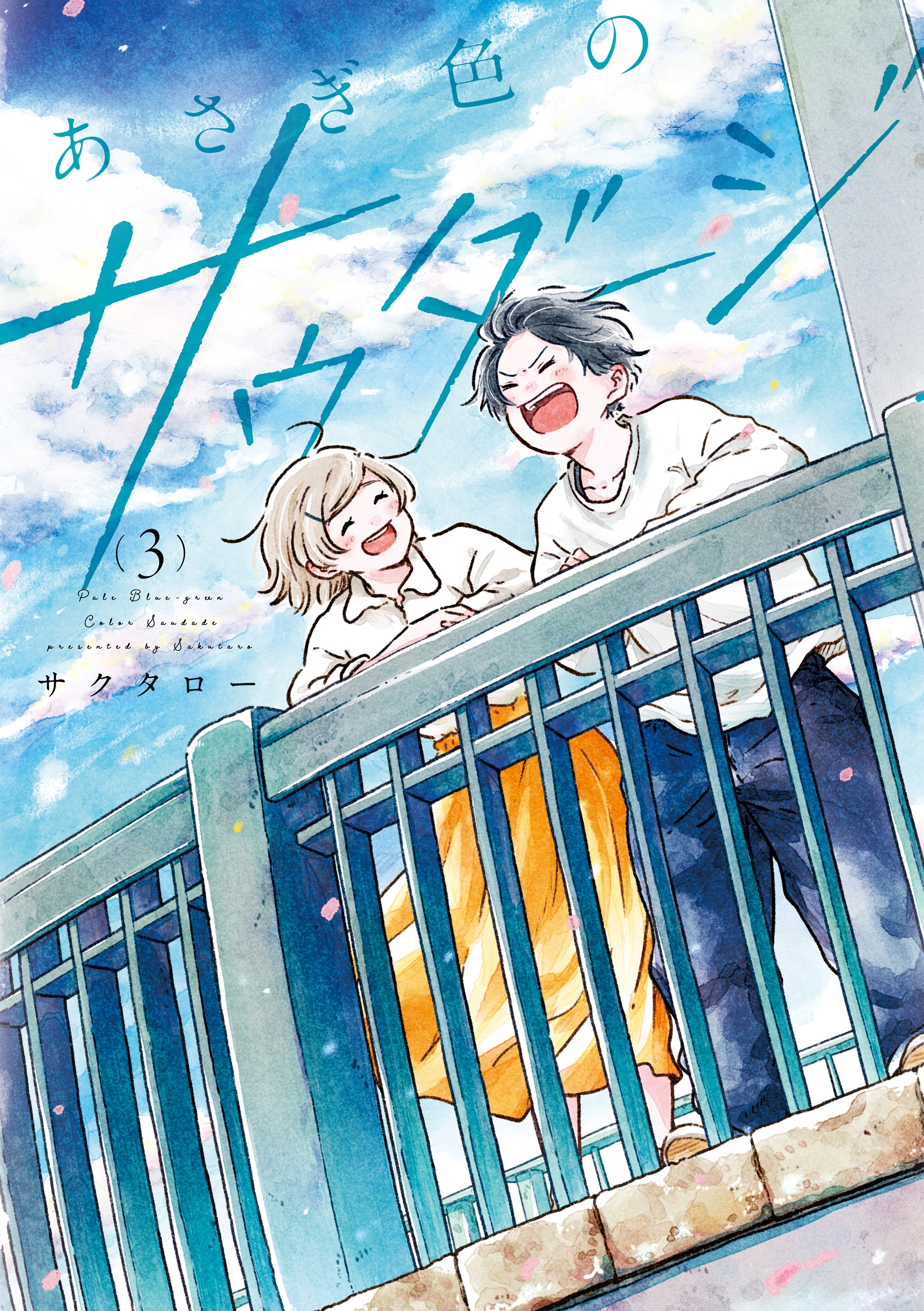 Cover 3