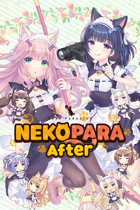 Cover 6