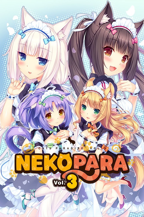 Cover 4