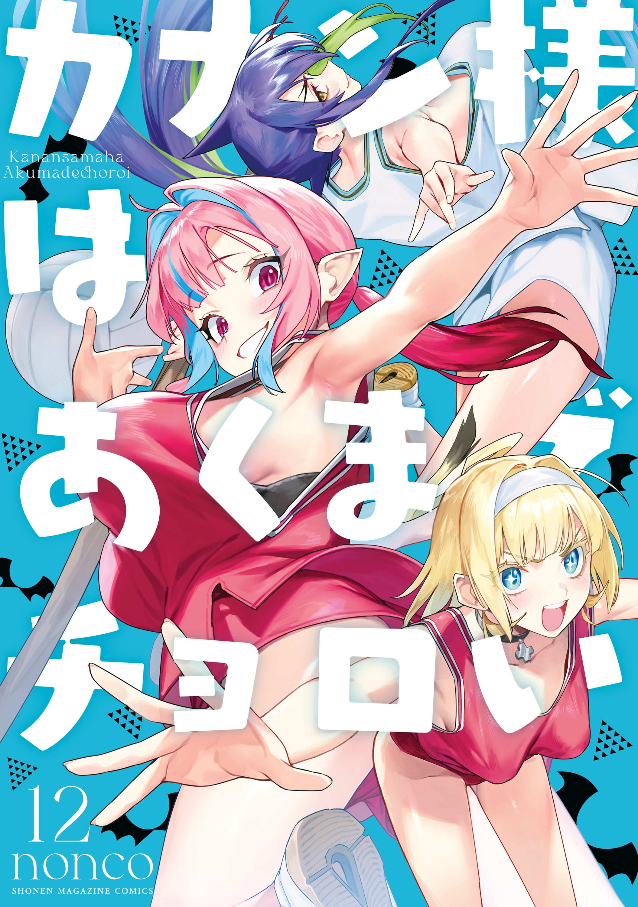 Cover 13