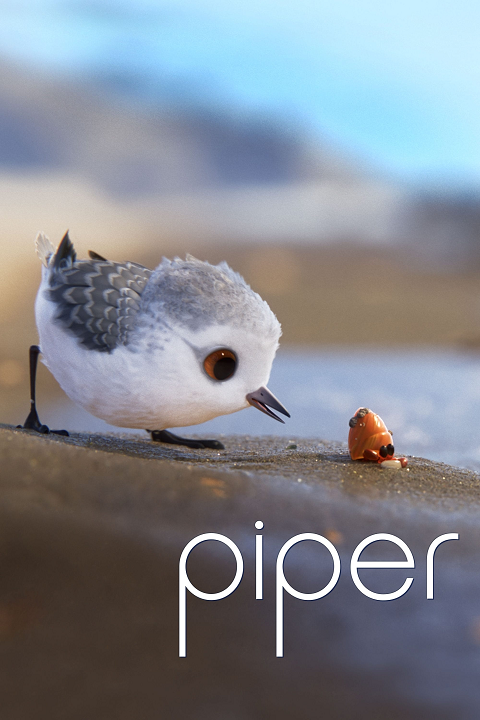 Piper's cover