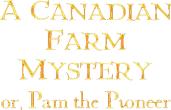 A Canadian Farm Mystery; or, Pam the Pioneer's cover