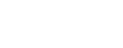 Sally Face's logo