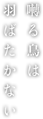 Saezuru Tori wa Habatakanai's cover