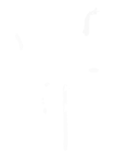 Song of the Sea's cover