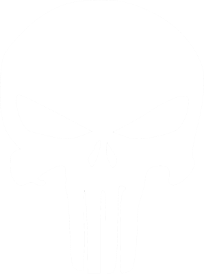 Punisher Series's cover