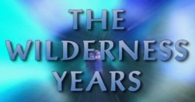The Wilderness Years's cover