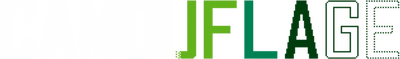 Camouflage's cover