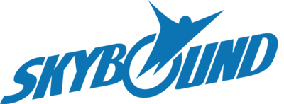 Skybound Entertainment's cover